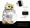 OWL LED Solar Garden Light Lamp for Patio Backyard Outdoor Yard Decoration